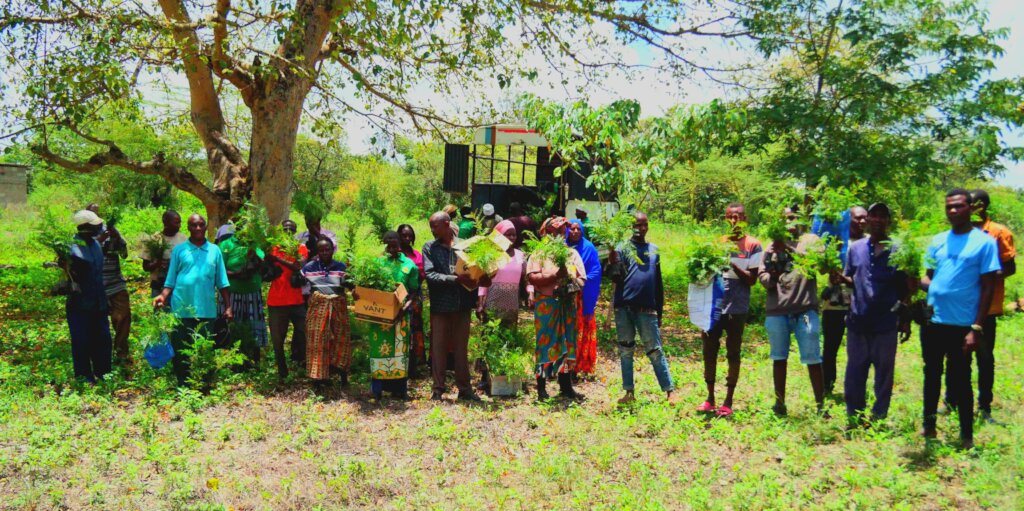 Offsetting CO2 by planting trees in Tanzania.