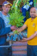 TreeGivingday 2024