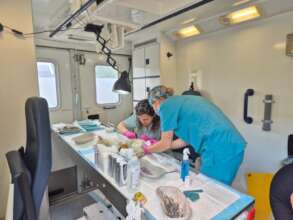 From our latest campaign, with the mobile clinic