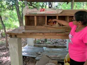 Chicken coop