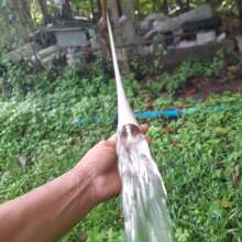 Irrigation