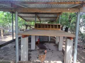 Resilient chicken coops