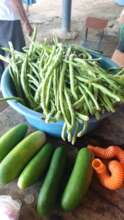 green bean