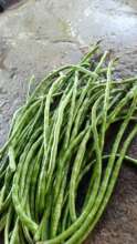 Green beans