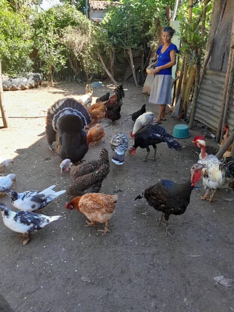 Extend Resilient Women-led Farming in El Salvador