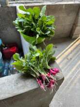 Vegetables
