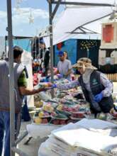 Hot Meals distribution
