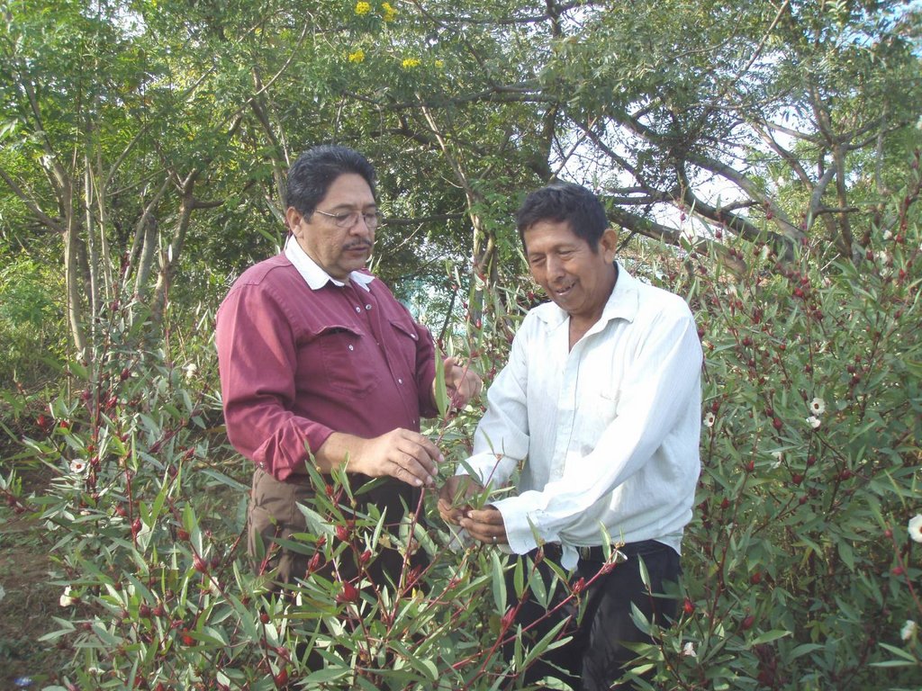 Eco-community  Uplift 3000 displaced in Nicaragua