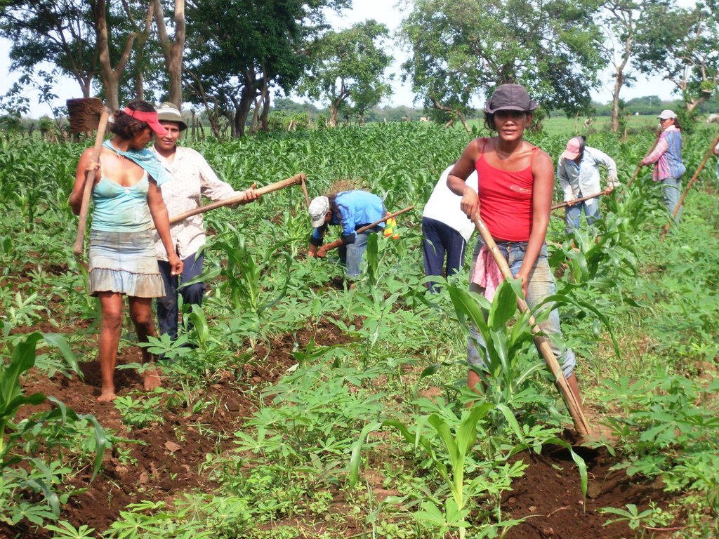Eco-community  Uplift 3000 displaced in Nicaragua