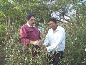Permaculture Training