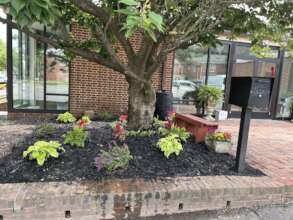 A secret volunteer planted a celebration garden