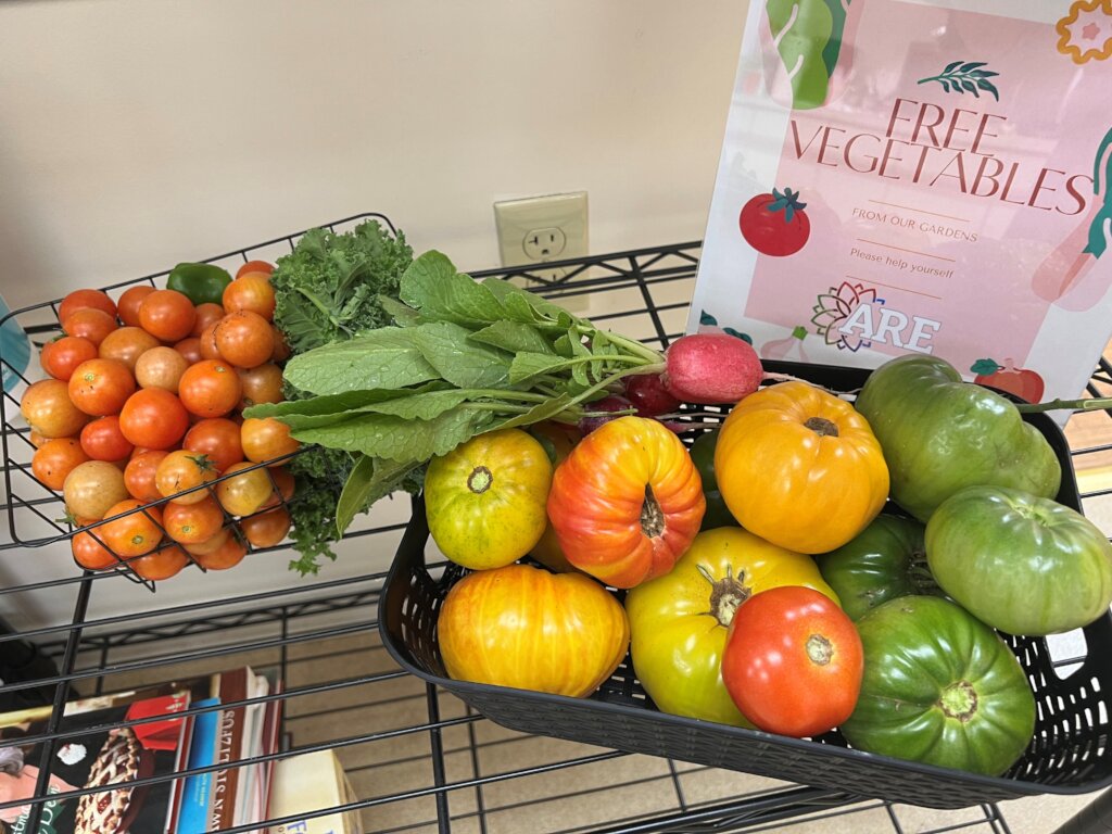 A recent harvest from the Center's garden.