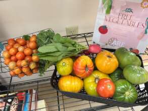 A recent harvest from the Center's garden.