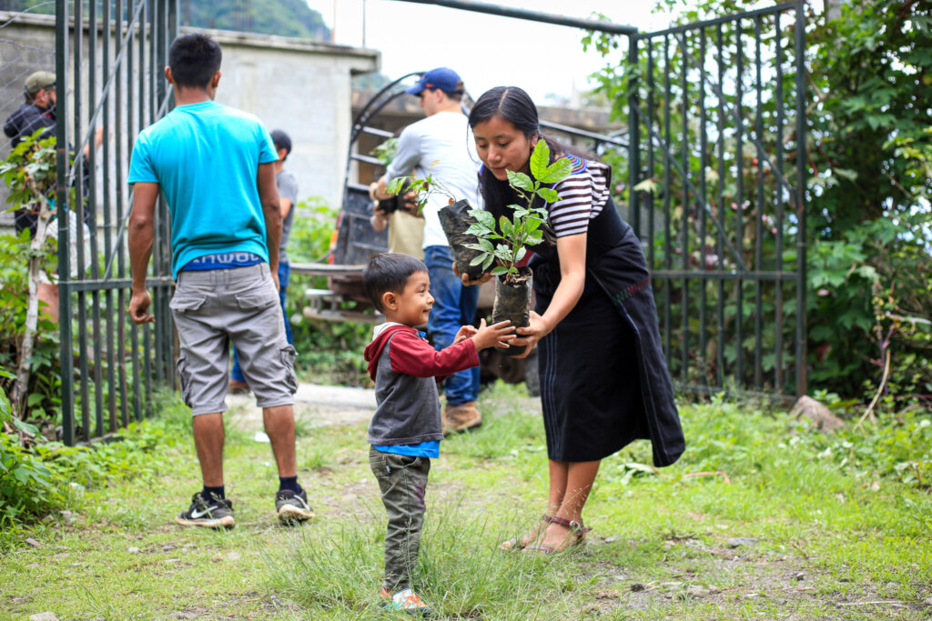 Help Plant 10K Trees in Lake Atitlan, Guatemala