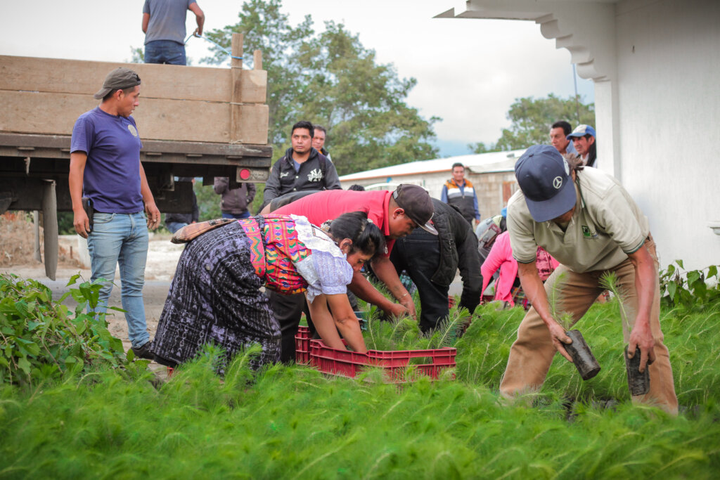 Help Plant 10K Trees in Lake Atitlan, Guatemala