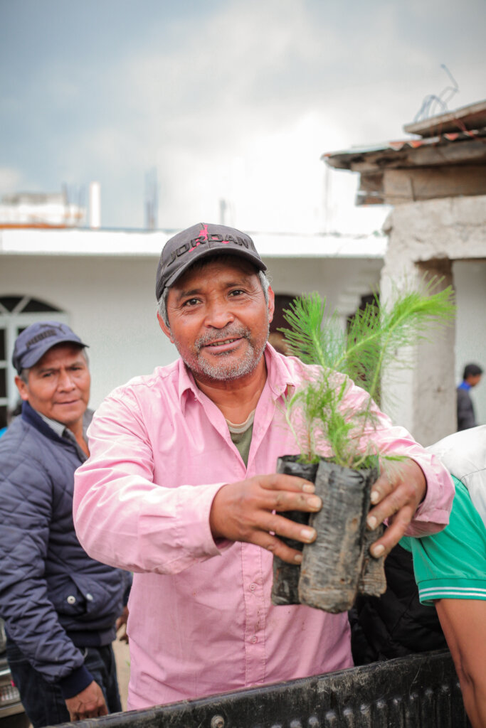 Help Plant 10K Trees in Lake Atitlan, Guatemala