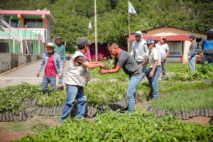 Wellkind Reforstation Technicians