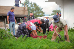 Community Distribution Day