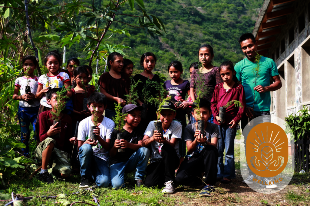 Plant 10,000 trees in Lake Atitlan, Guatemala