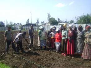 Planting