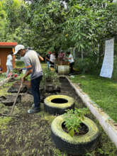 School garden activities