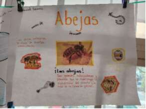 Educational project about the bees