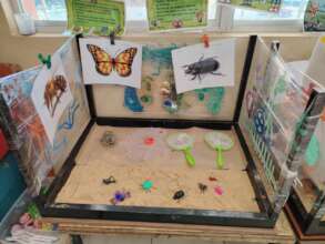 Educational projects about the garden