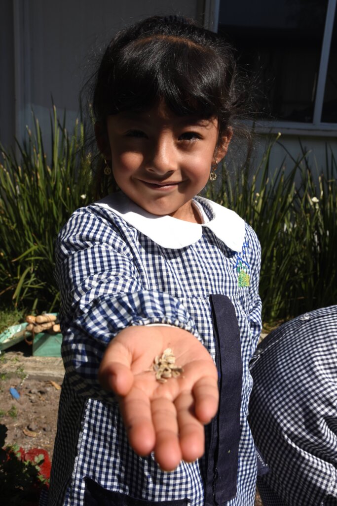 School Gardens in low-income communities