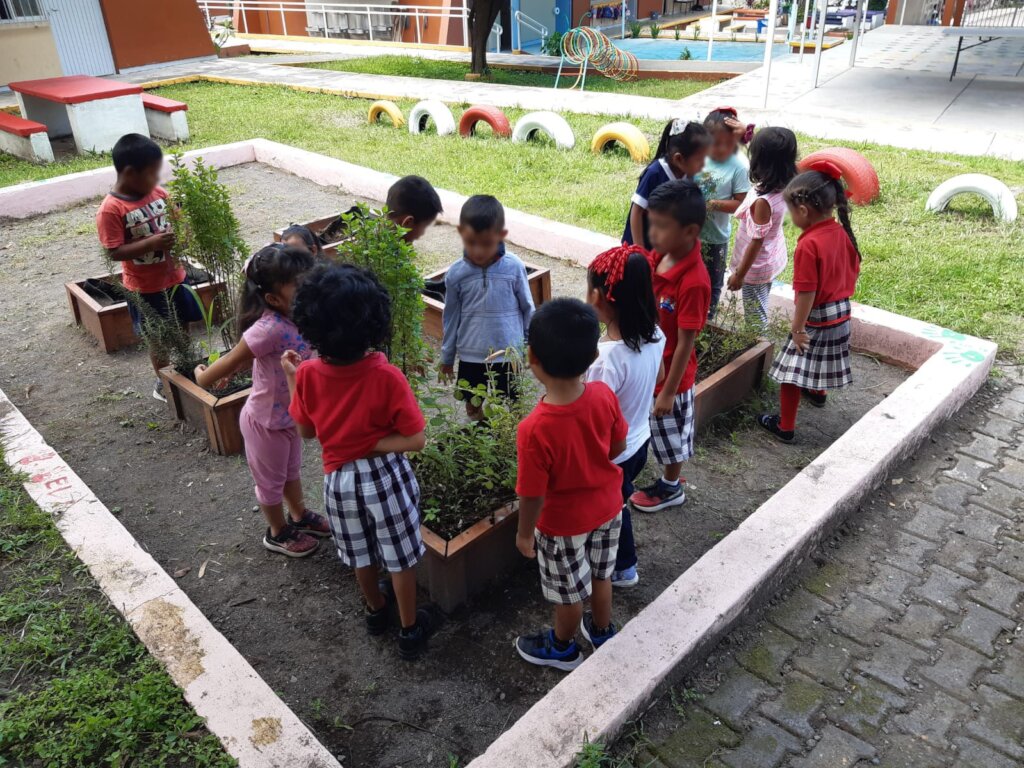 School Gardens in low-income communities