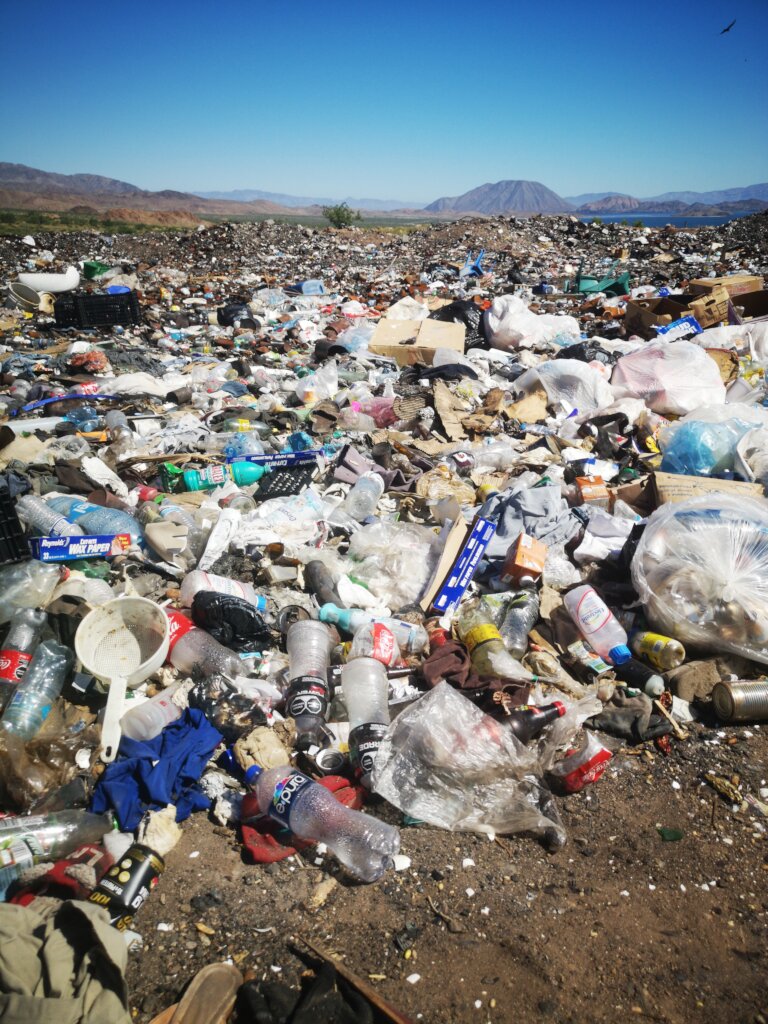 A Bahia de los Angeles Free of Styrofoam