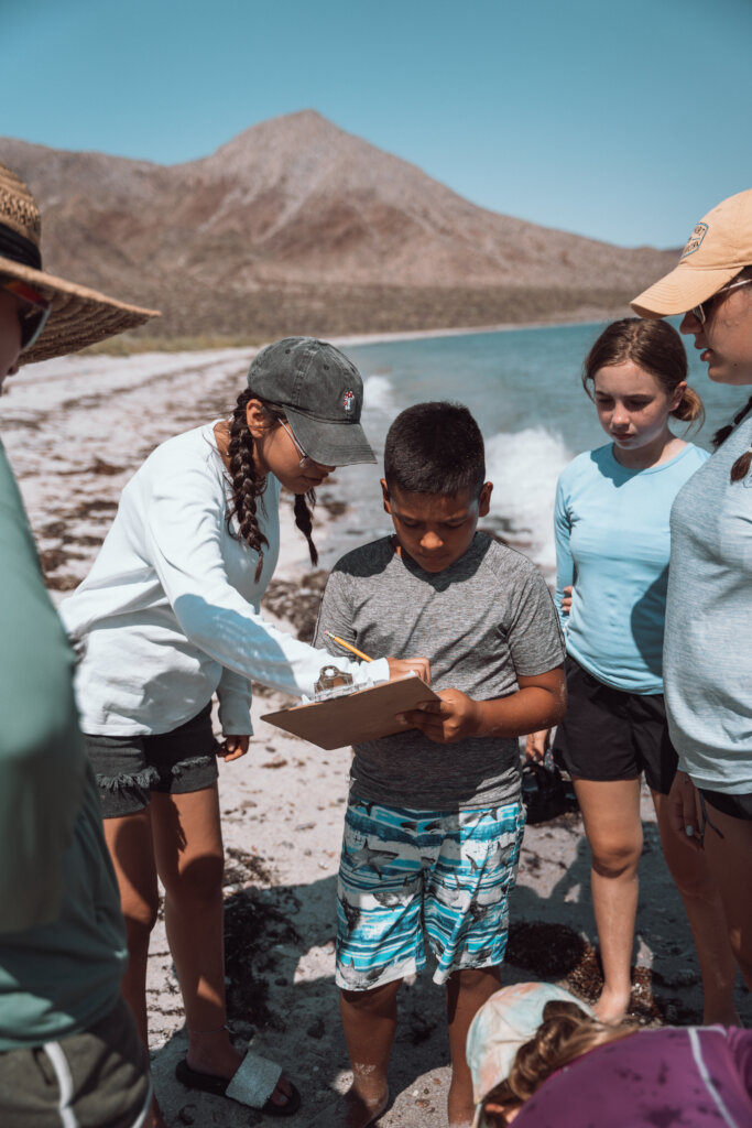 A Bahia de los Angeles Free of Styrofoam