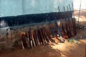 Confiscated Elephant Tusks, Weapons, and Snares