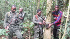 Camera traps monitor wildlife across the Reserve.