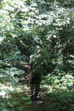 ICCN Ranger patrolling forest
