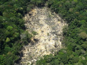 Illegal Gold Mine from Aerial Survey
