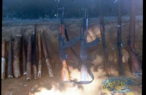 Confiscated guns and ivory