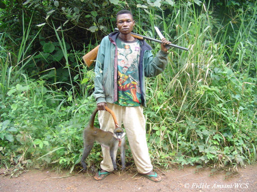 poacher in Eastern DR Congo