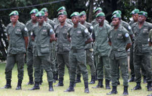 ICCN Eco-Guards stand at attention.