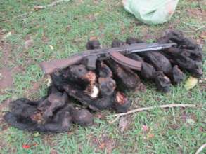 Seized Bushmeat and Firearm