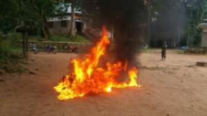 Burning Bushmeat