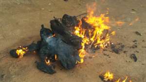 Burning Bushmeat Discourages Poaching