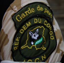 ICCN Patch