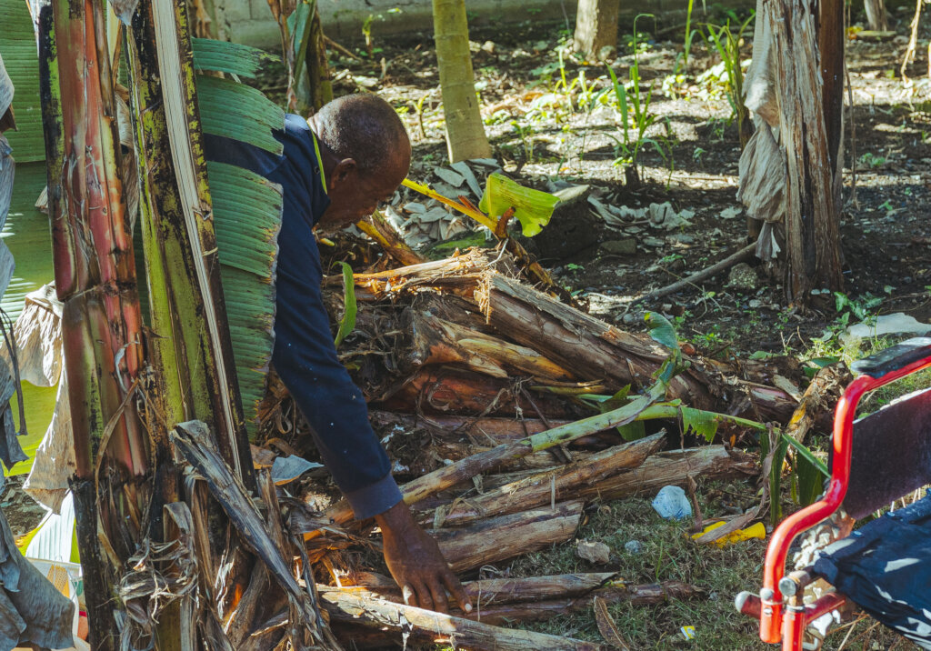 Provide quality seeds for 500 farmers in Haiti
