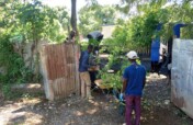 Provide quality seeds for 500 farmers in Haiti