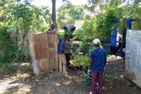 Provide quality seeds for 500 farmers in Haiti