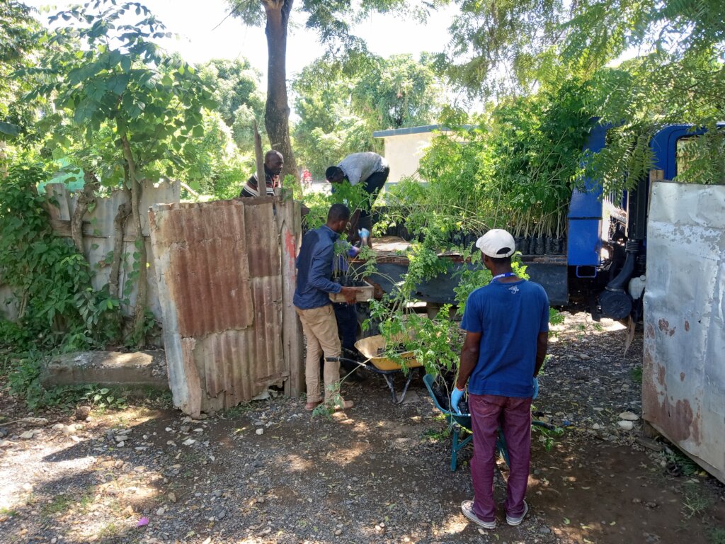 Provide quality seeds for 500 farmers in Haiti