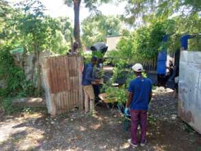 Provide quality seeds for 500 farmers in Haiti