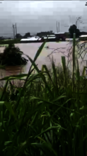 Floods in dwangwa
