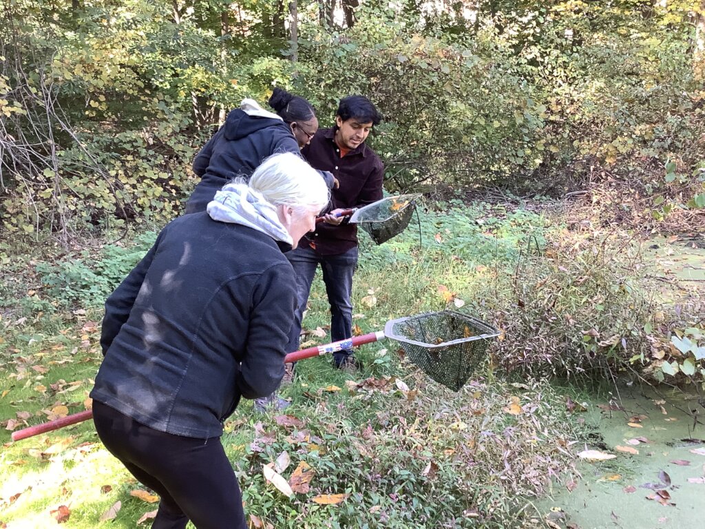 Empowering those in need with natures benefits