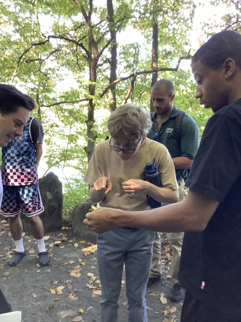 Empowering those in need with natures benefits